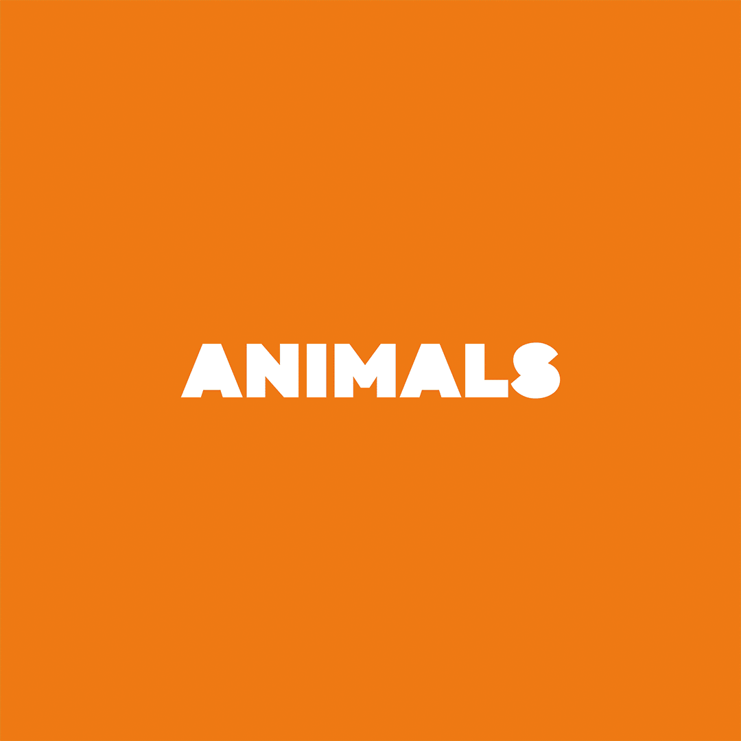 https://toyi.io/wp-content/uploads/2022/09/Animals-GIF.gif