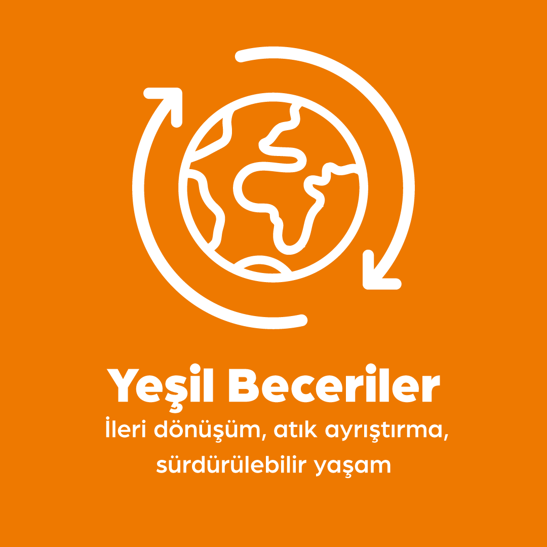 https://toyi.io/wp-content/uploads/2022/09/TR-yesil-beceriler.png